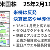 前日の米株は反発　TMC売上高を好感し半導体堅調　鉄鋼・アルミニウムに２５％関税が公表される　2025年2月11日