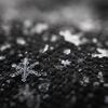 雪の結晶の魅力。種類や観察方法を紹介