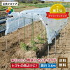 既に畑仕事を始められておられます。