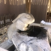 調神社（さいたま市浦和区）でウサギを堪能した