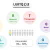 LGBT法の言う所の『LGBTQへの理解』とは…