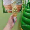 浅川園｜抹茶ソフトクリーム