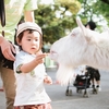 赤ちゃんを動物園にいつから連れて行ってOK？メリットや注意点は？