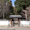 冬の紅葉谷公園（山口県岩国市横山）