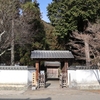 冬の紅葉谷公園（山口県岩国市横山）