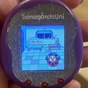 はつぅちゃん絶対長生きチャンネル