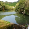 内の原の野池（仮称）（熊本県天草）