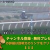 競馬無双で競馬予想！スワンステークス（GII） 【競馬調教】 ムーンクレスト調教動画　「競馬レース結果ハイライト」2016年≪競馬場の達人,競馬予想≫JRA-VAN対応競馬ソフト