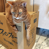 玄関で座り込み