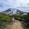 キバナシャクナゲが満開！北海道の真ん中旭岳往復登山