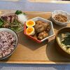 【おうちご飯】手作り醤油タレ香る手羽元の甘辛煮、鰹のたたきを始めとした絶品飯！