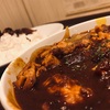 1週間限定☆松屋のごろごろ煮込みチキンカレー♪