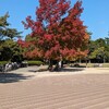 公園／池