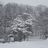 千秋公園　雪化粧