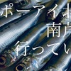 【ポーアイ】ハマチ不発のちイワシ【南芦屋浜】