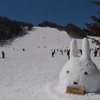 ゲレンデはまるで春スキー&#127935;