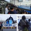 車いすでオルカショーとイルカパフォーマンスを楽しむ　神戸市の水族館への旅　2025年　