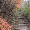 tochikoな山歩き　冬のしじま