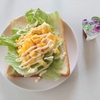 皆行動パターンが同じですね