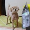 トリミングデーとおててが赤い