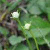 秋の草原　高千穂町五ケ所高原