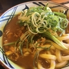 夏こそカレーうどん！