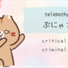 telepathy cat ７ぶにゃねこのまやかしとテレパシー体験(*`ΦｗΦ′*三*ΦｗΦ′*）