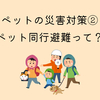 熱海市の土石流被害からペットの災害対策を考えてみる②｜ペット同行避難について