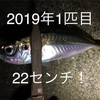 2019年初釣り！