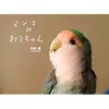 インコのおとちゃん