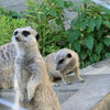 ２０１４／０９　東武動物公園