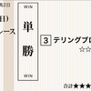 ４角で致命的な不利があり５着