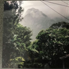 屋久島の周波数2『アニミズムの希望』山尾三省 "The Hope of Animizumu “Sansei Yamao