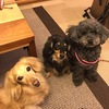 ヘビーだったわあ。