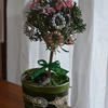 可愛いクリスマスツリー・・・トピアリーを使って