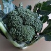野菜