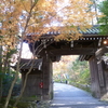 写真展と名残りの紅葉