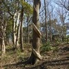 現代俳句の笑いー川崎展宏 - 天野 翔のうた日記
