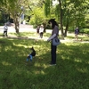 犬の吠えに回避の対処を勧めないでもらえませんか？