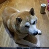 西伊豆へ釣りに行きました。その釣果は…😭