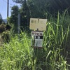 鍋割山は遠かった　【山蛭の洗礼】その２