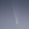 C/2023 A3 紫金山-アトラス彗星