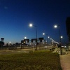 豊洲市場７街区『やじ満』『福茂』、６街区『小田保』『センリ軒』『米花』。(2019.4.13土)