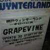  GRAPEVINE tour 2011＠神戸ウィンターランド（3/10）