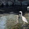 自分は空想で救われてきた人間なんです