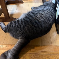 ようやく回復してきました