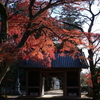 紅葉（長龍寺）