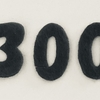 ブログの記事が300に到達しました。