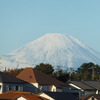 2023年11月15日・水曜日・一人でもいいけれど二人ならもっといい～♪