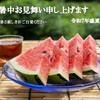 暑中お見舞い申し上げます